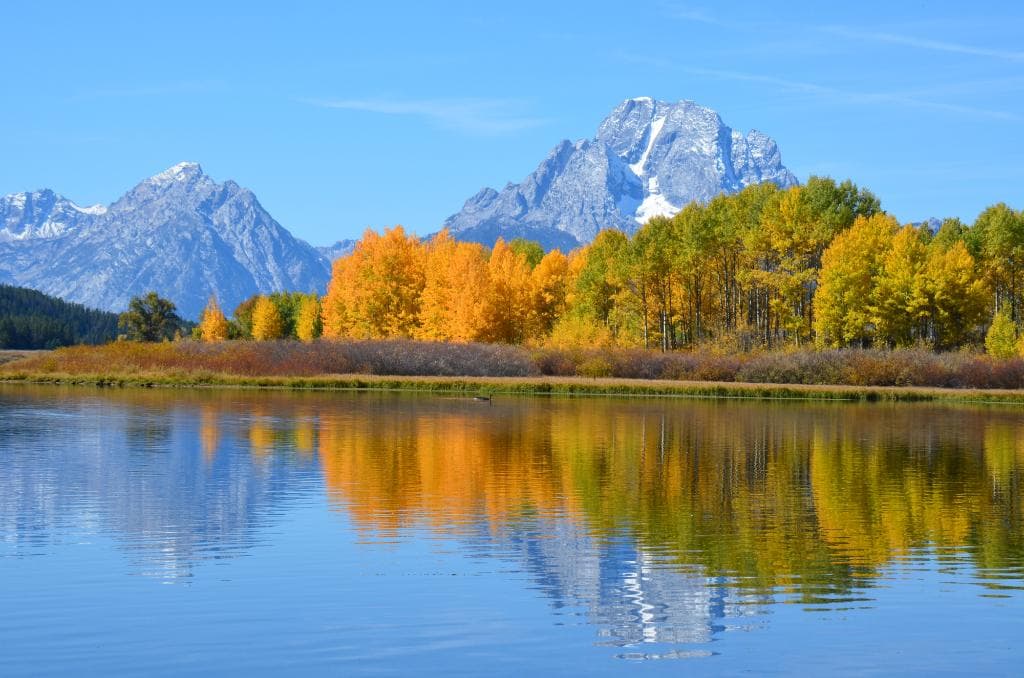 Mt. Moran reflect in the Snake from the turnout