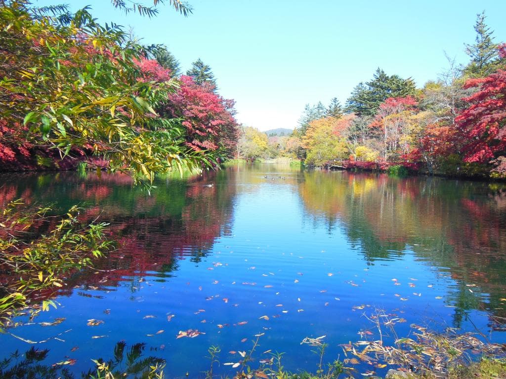 曇場池の入口近く