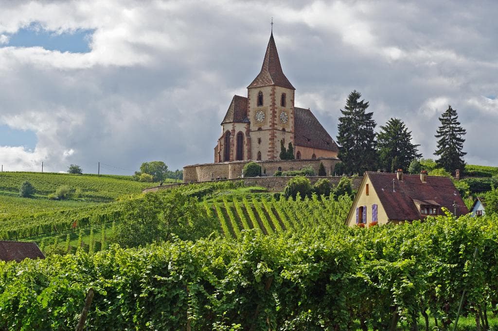 Church in the vineyards of Hunawihr