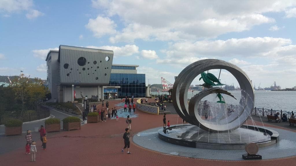 Jangsaengpo Whale Watching Ulsan