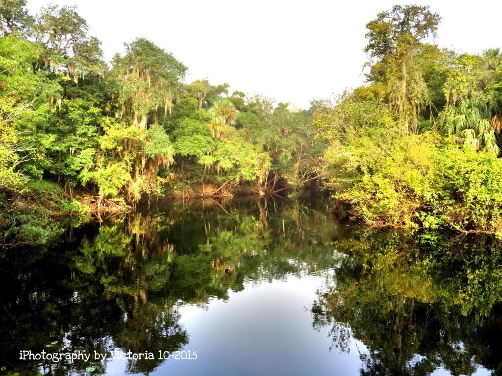 Hillsborough River State Park Tampa