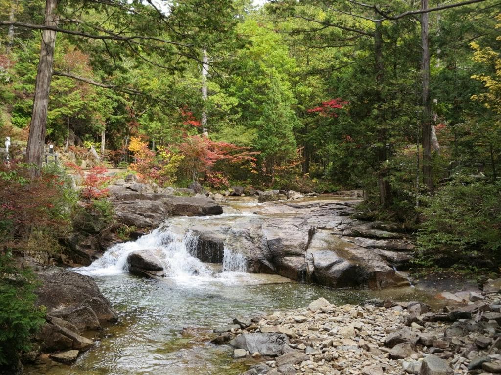 Akasawa Natural Recreation Forest