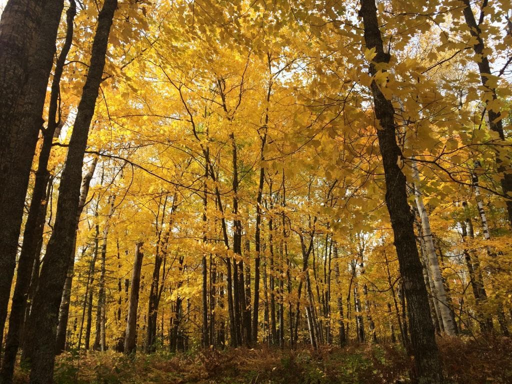 Hartley Park & Nature Center