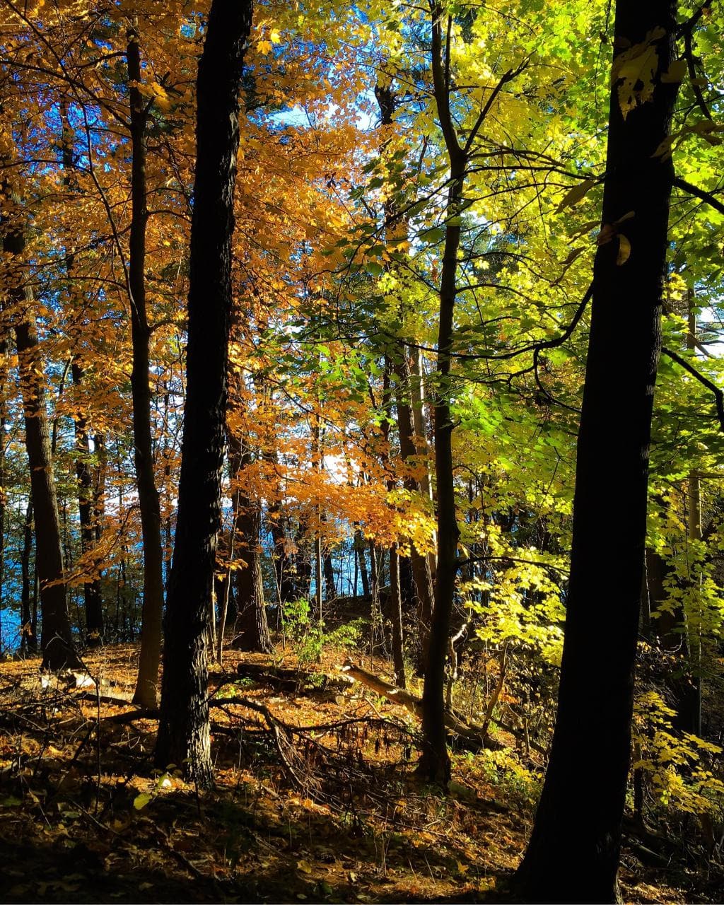LaSalle Park Burlington