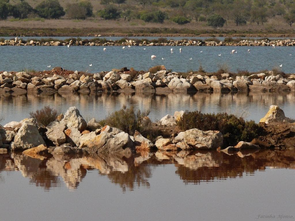 Reserva Natural do Sapal de Castro Marim e Vila Real de Stº António