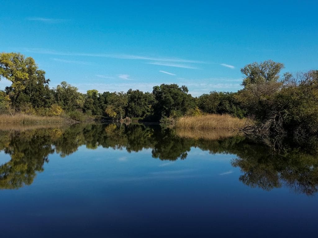 A view of the Mokelumne River from the dog park