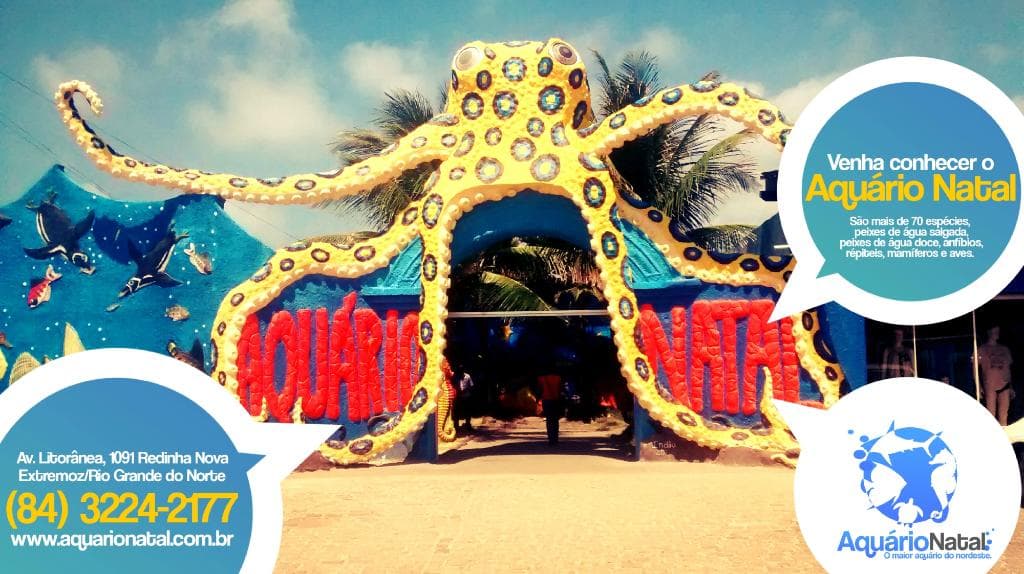 Aquário Natal, curta nossa Fanpage (fb.com/aquarionatalrn)
