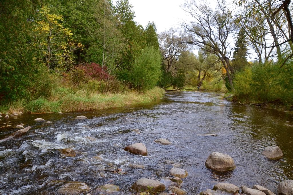 Bronte creek