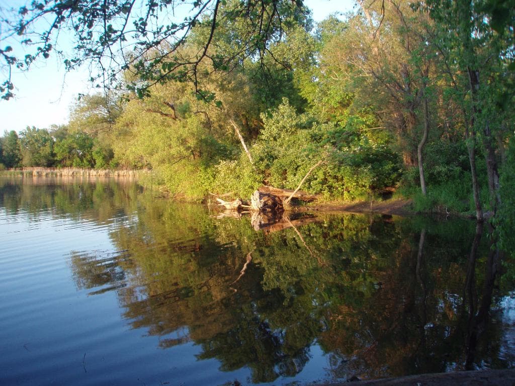 reflections of the lake