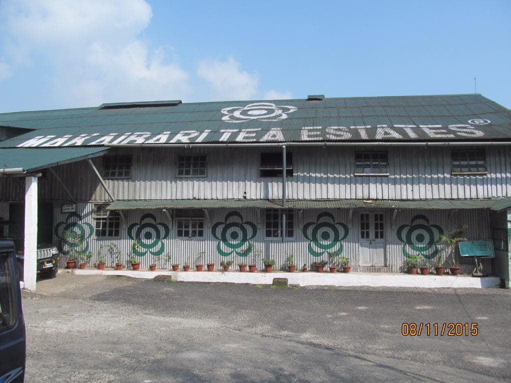 Tea Estate