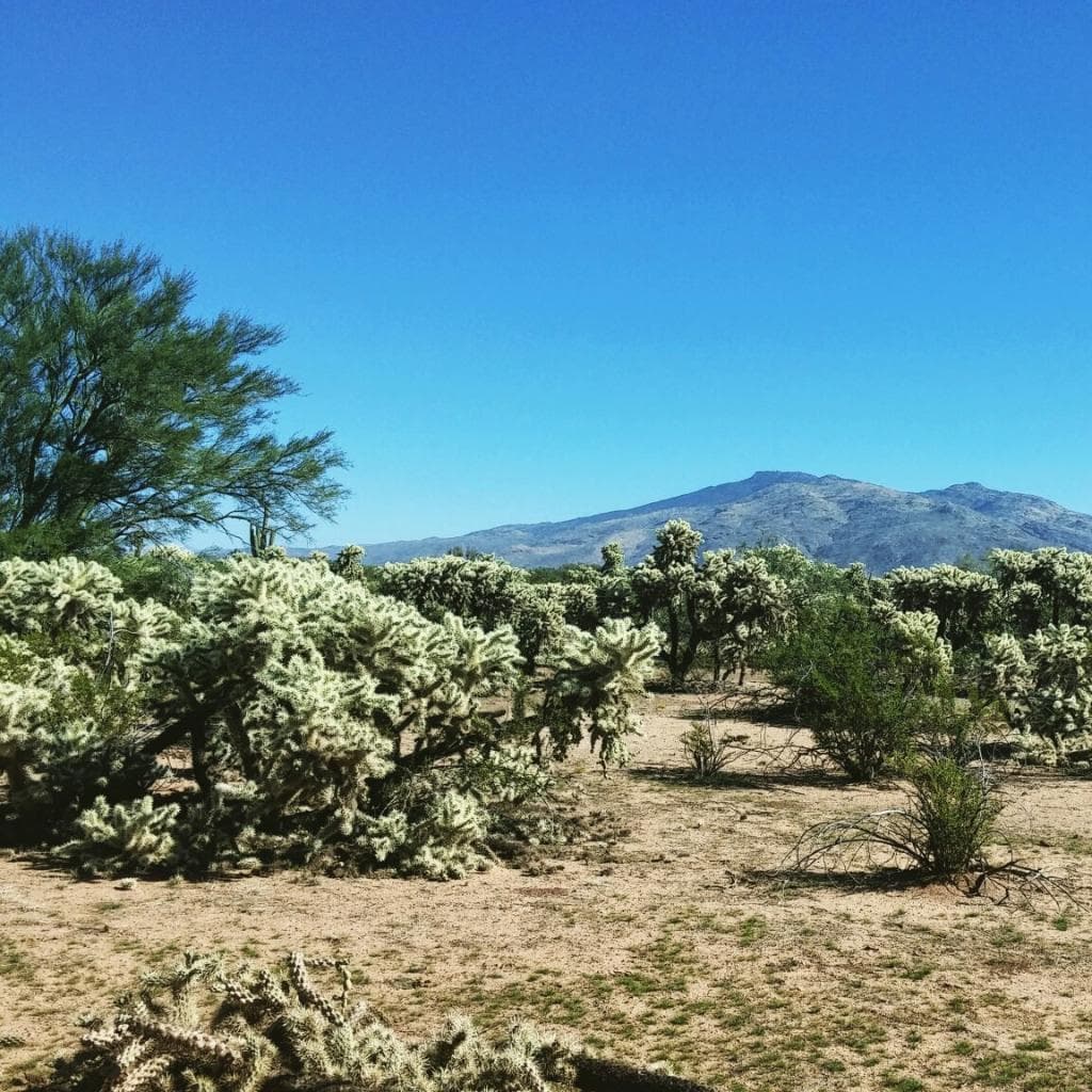 Fantasy Island Mountain Bike Park