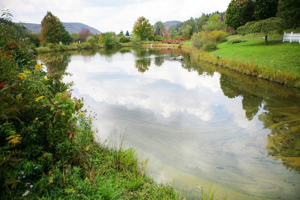 Pond at Nannen Arboretum