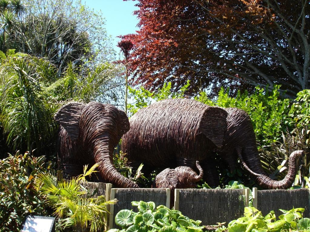 The Willow Elephant Family