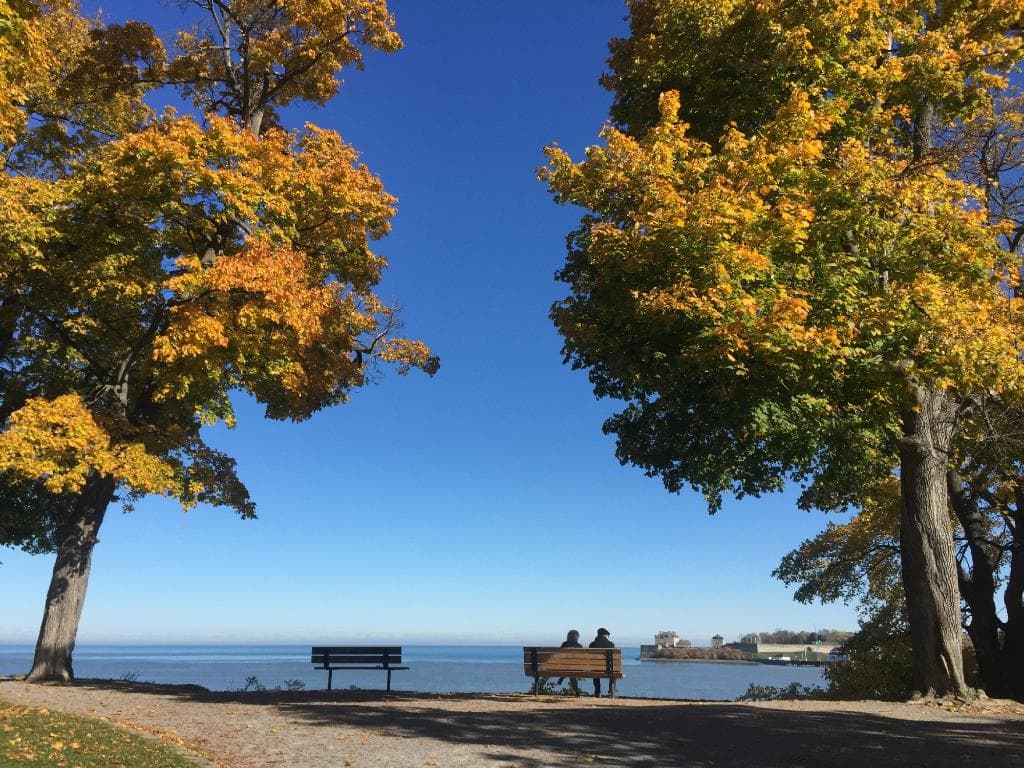 Queen Royal Park, next to Fort Mississauga