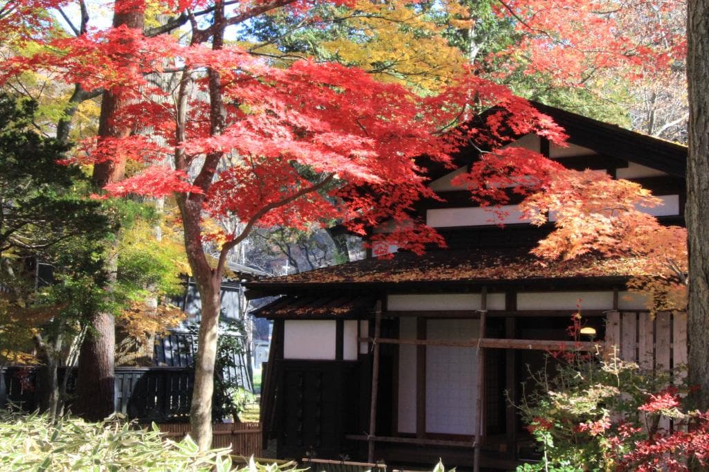 紅葉がとても綺麗