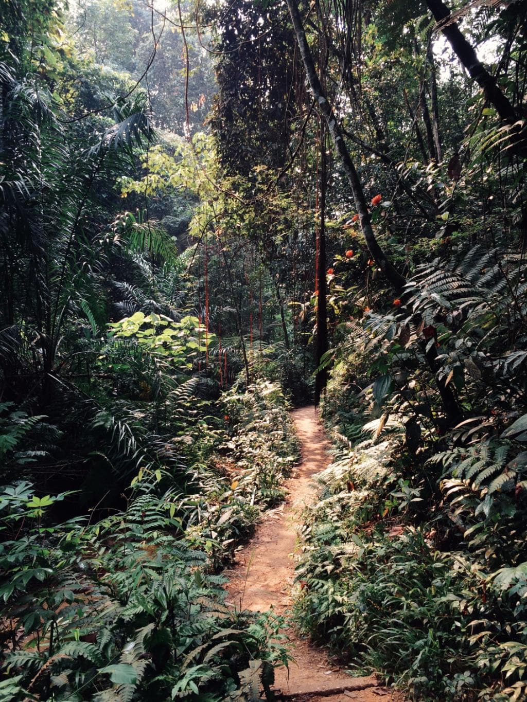 Beautiful scenery along the trails