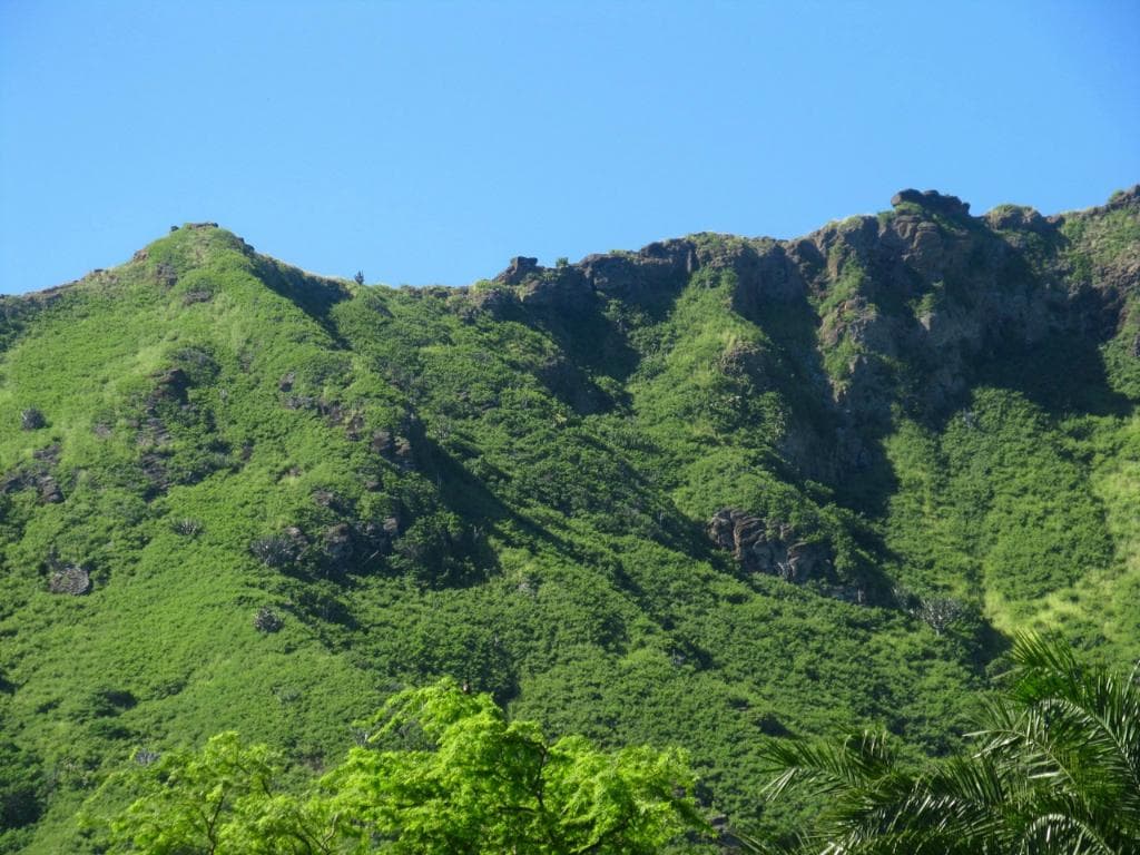 Hiked up there a few weeks earlier