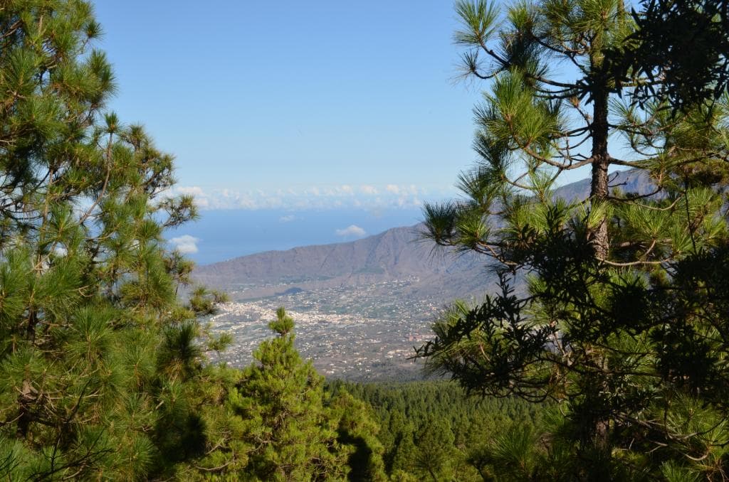 My photo is of the town of Los Llanos taken just after leaving Refugio El Pilar on the volcano r