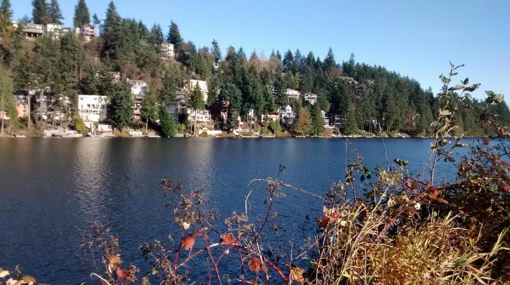 トレイルからの景色