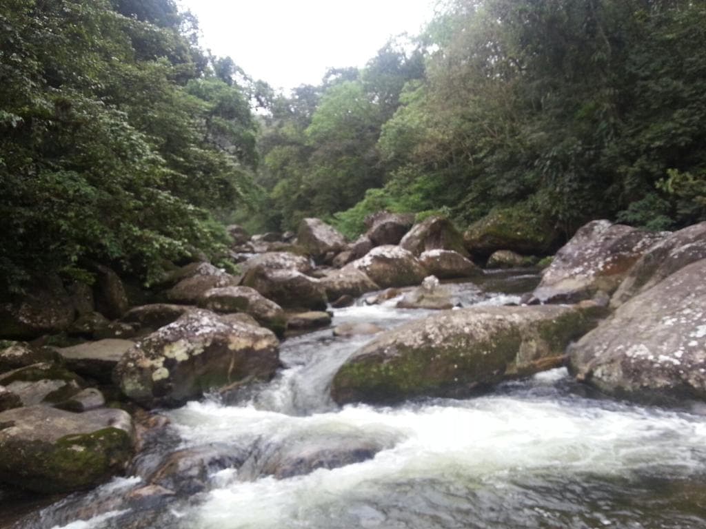 Buen para descansar
