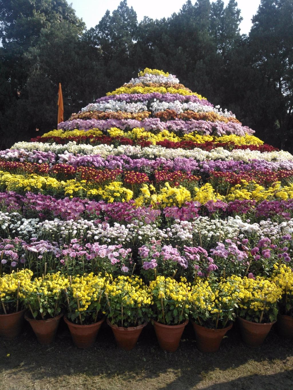 Mountains of flowers