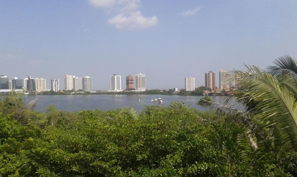 Serpente Encantada em meio à Lagoa