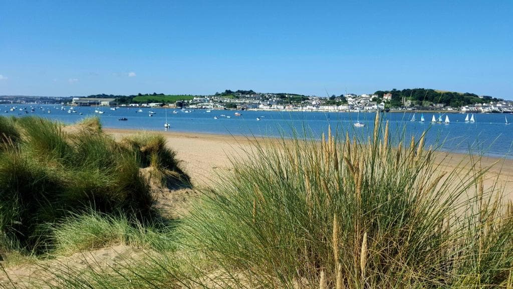 Instow beach and dunes