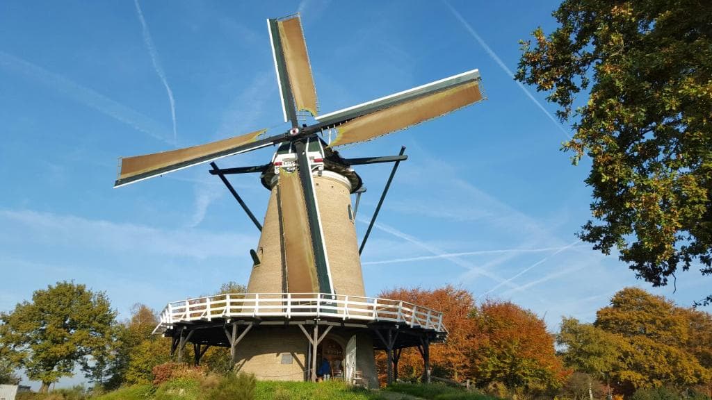 Stellingkorenmolen De Windhond