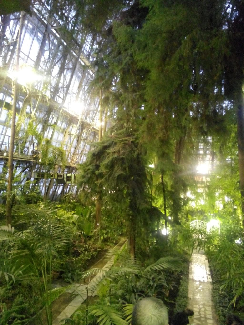 TSU Herbarium
