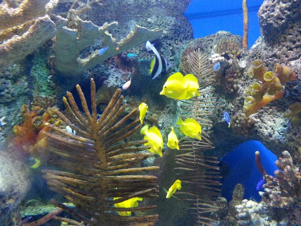 McWane Science Center