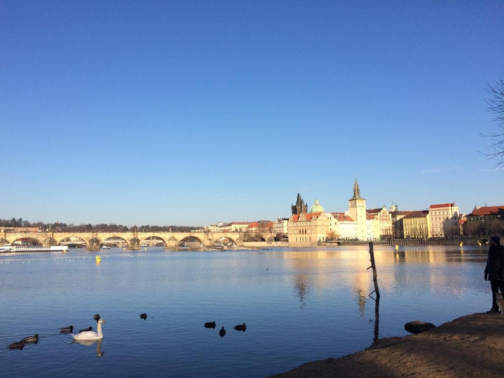 Střelecký Island Prague
