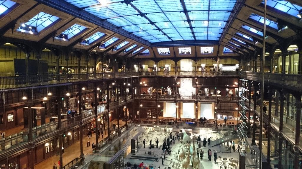 Grande Galerie de l'Evolution