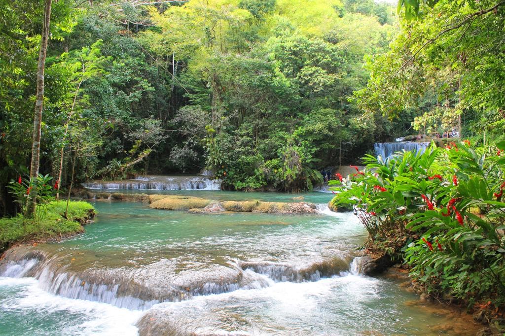 YS Falls