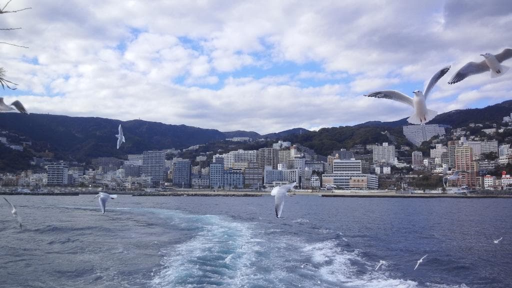 かもめがついてきます