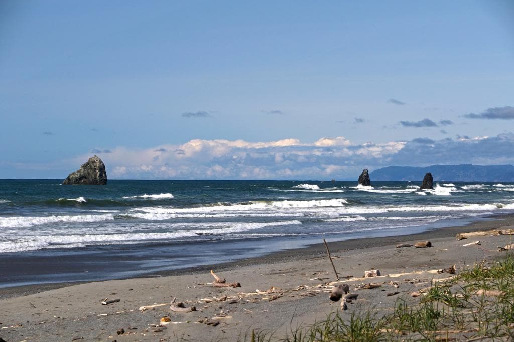 Thomas H. Kuchel Visitor Center #1