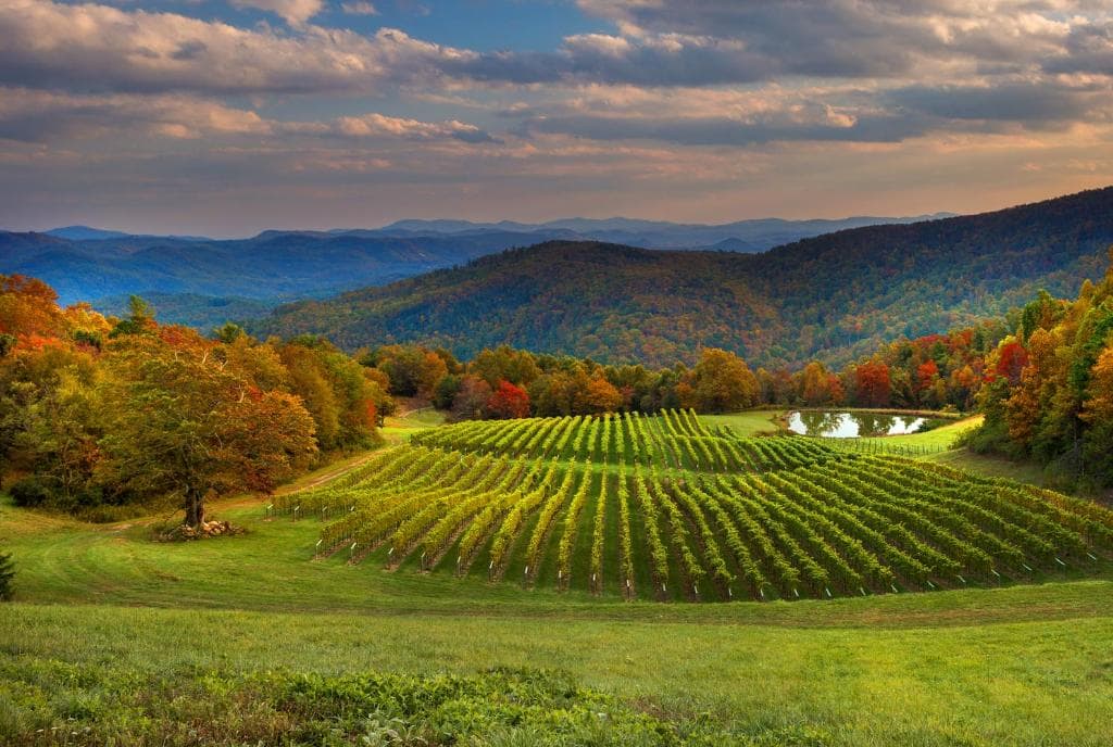 Beautiful Mountain Views, Peak Fall Foliage