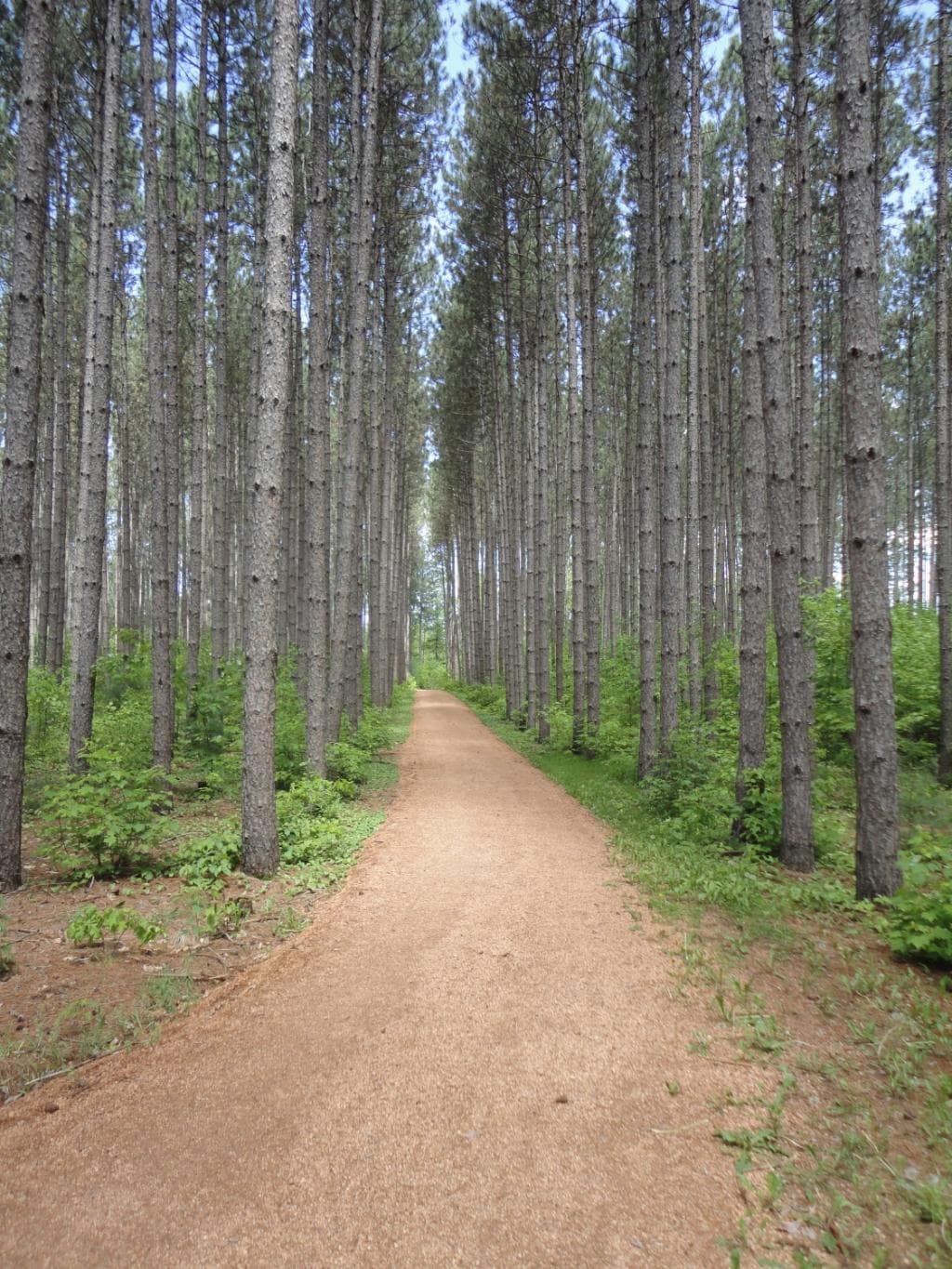 Prescott Circle Trail