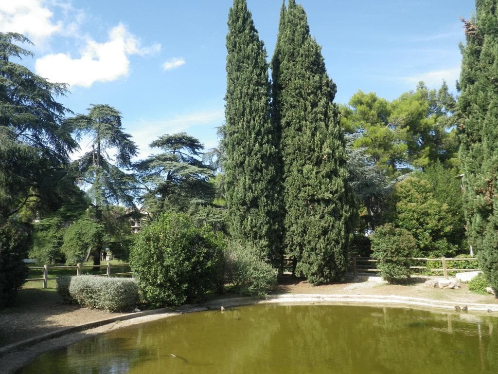 Un altro laghetto di Parco 2 Giugno a Bari