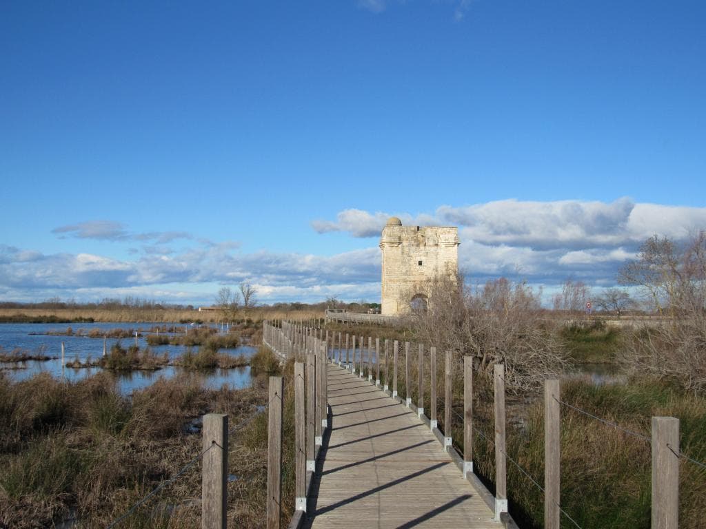 tour carbonniere