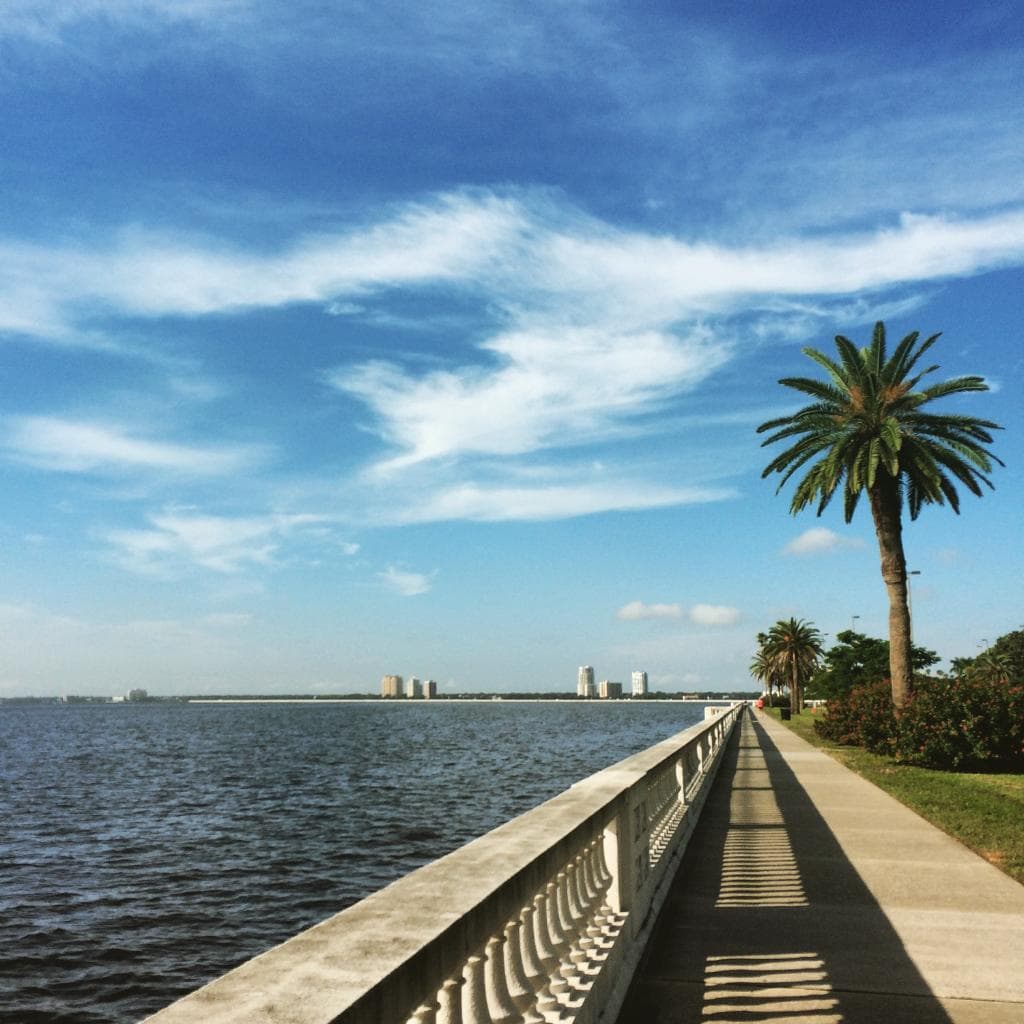 Bayshore Blvd. - Taken on a morning run