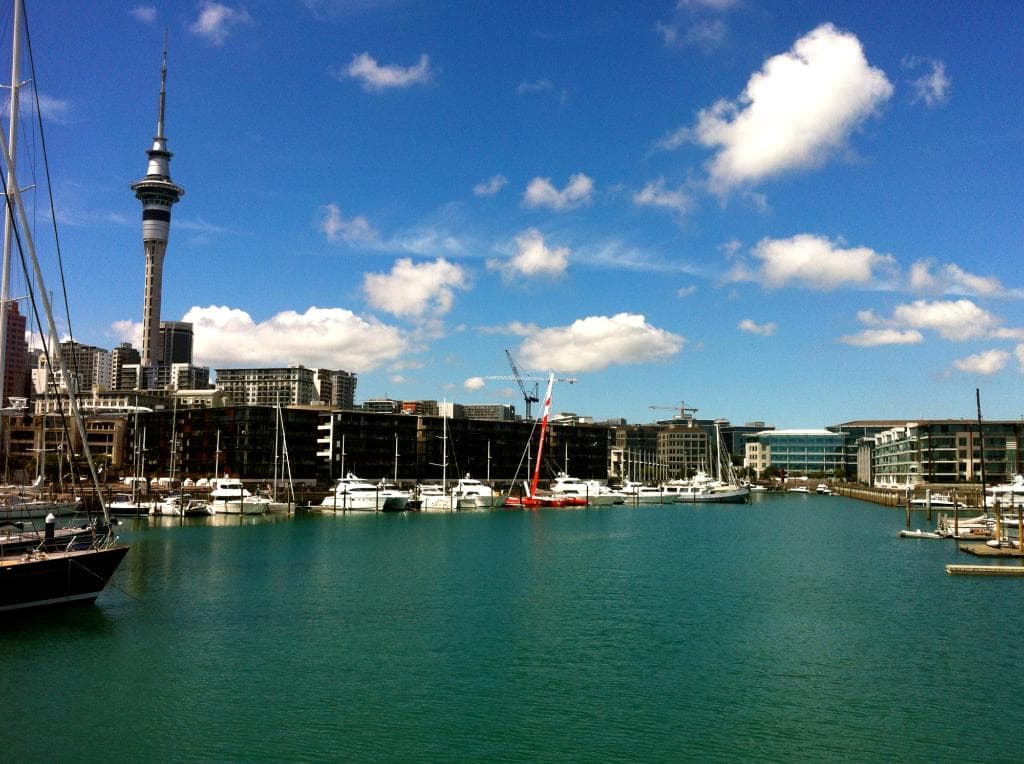 Skytower from the waterfront