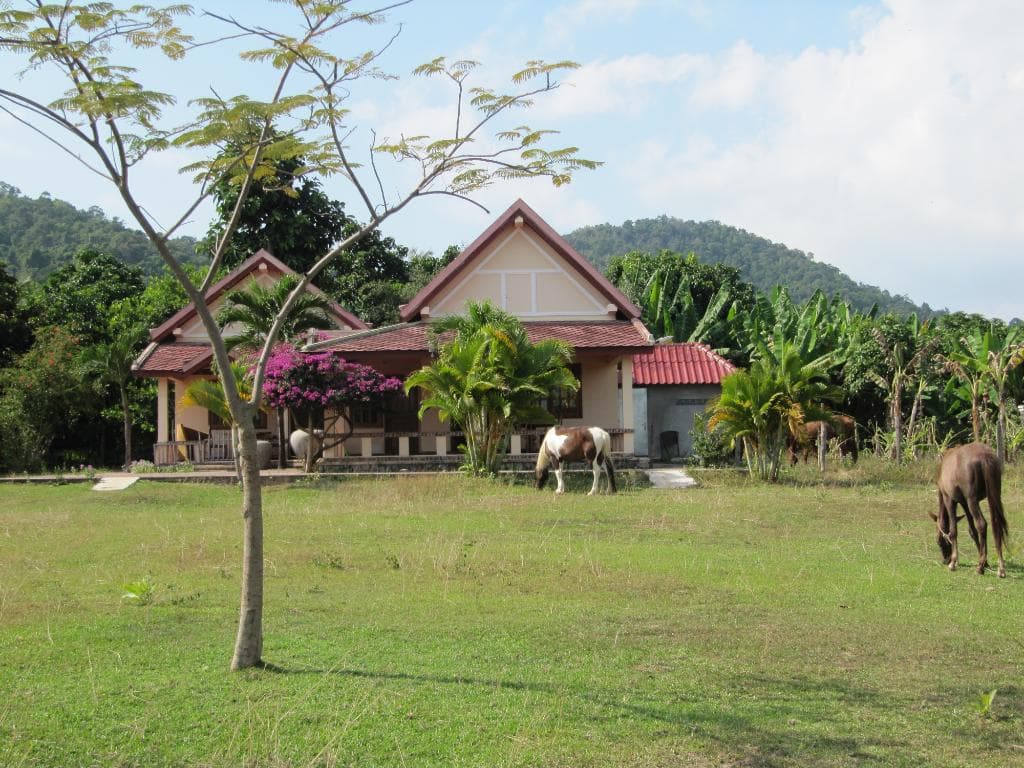 peacfully grazing on the farm
