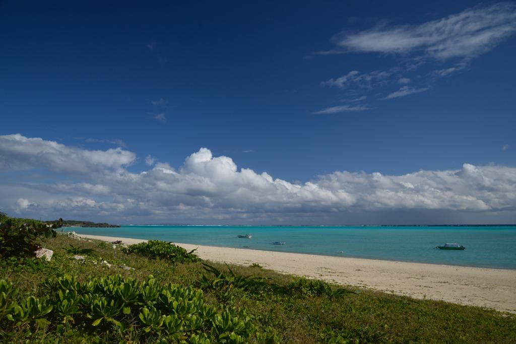 ２月でこの景色