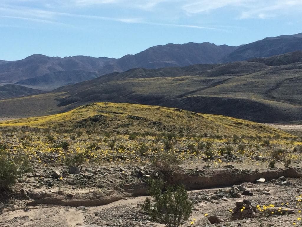 February 2016 super bloom