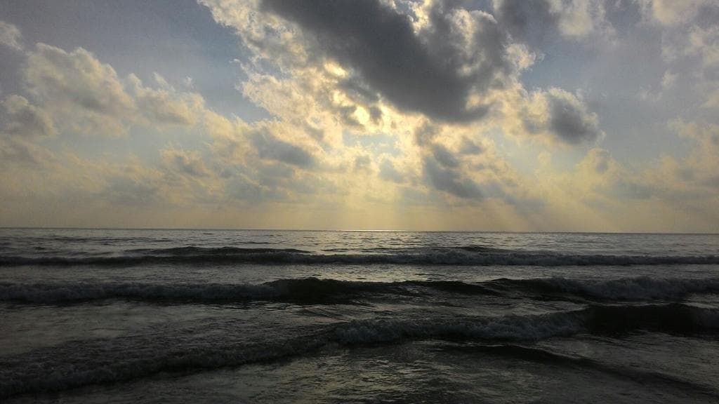 Elliott's beach