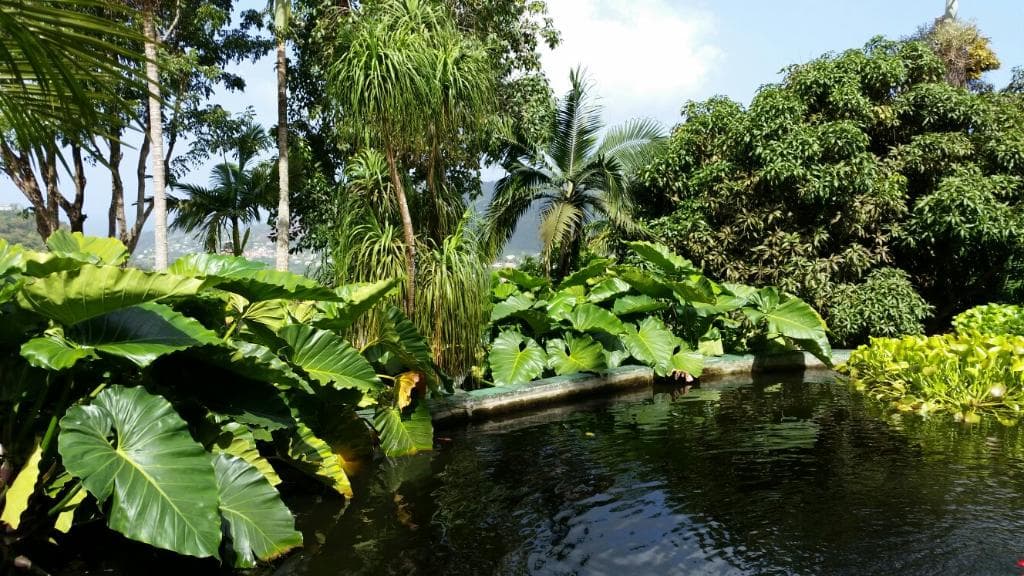 Sunnyside Garden