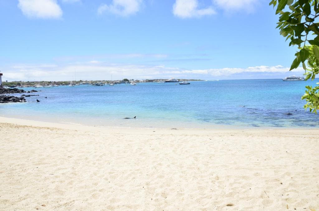 Playa Mann San Cristóbal