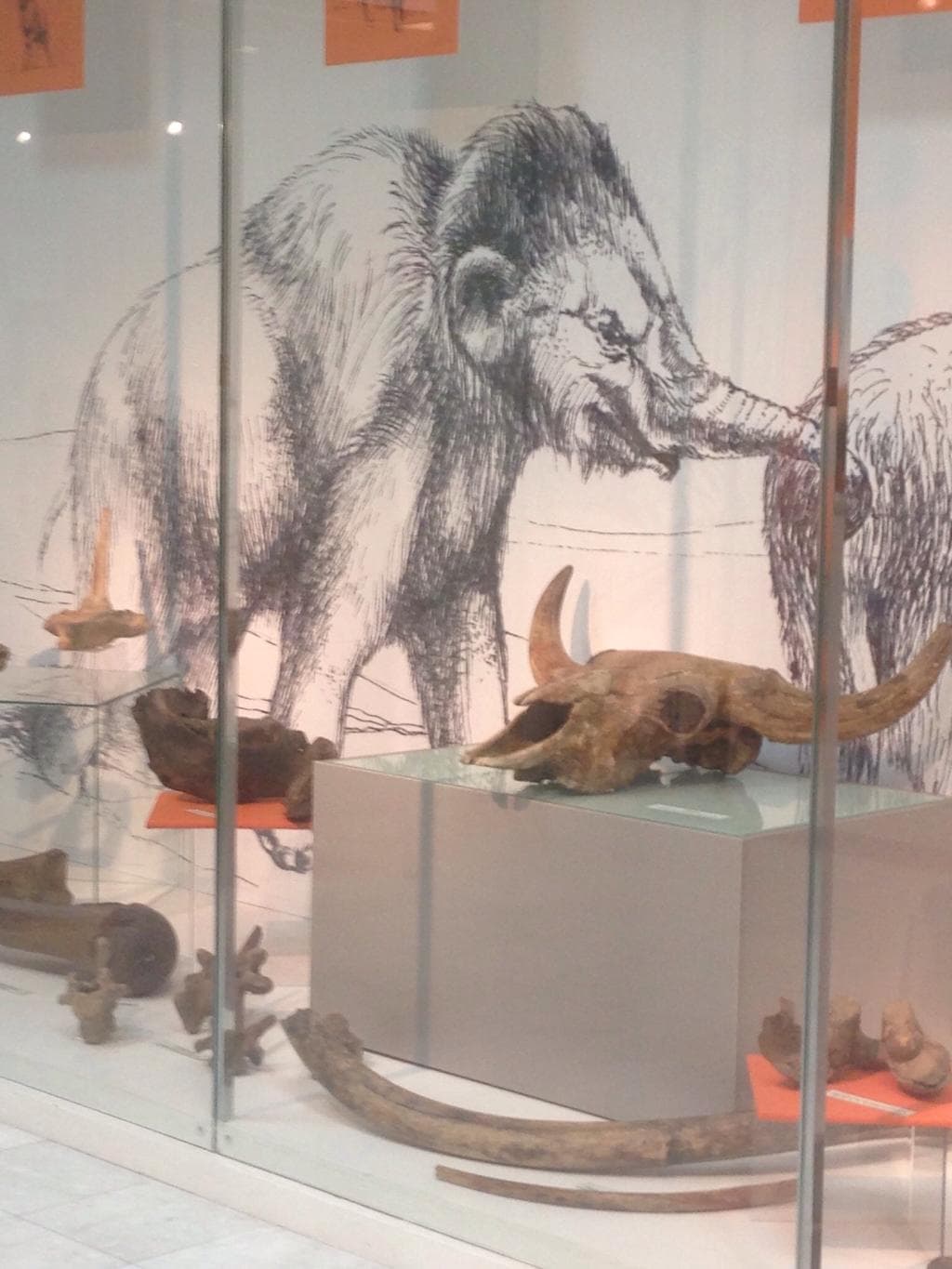 Surgut Museum of Local Lore