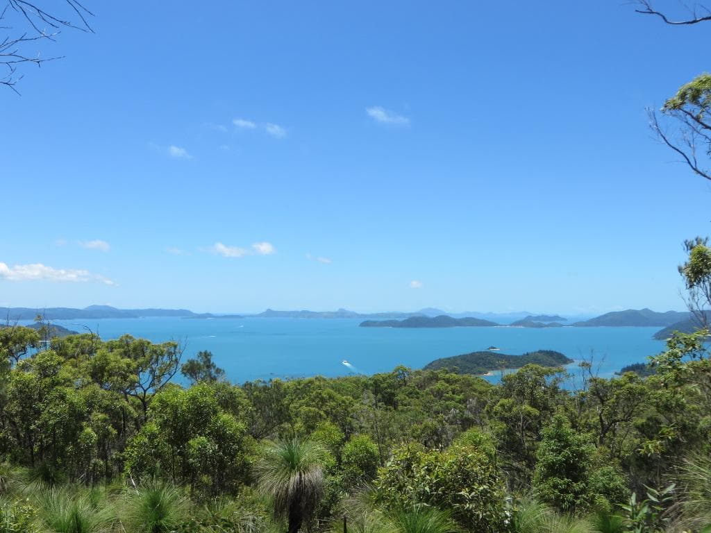 The top of Mt Rooper offering great views over the Whitsunday Islands