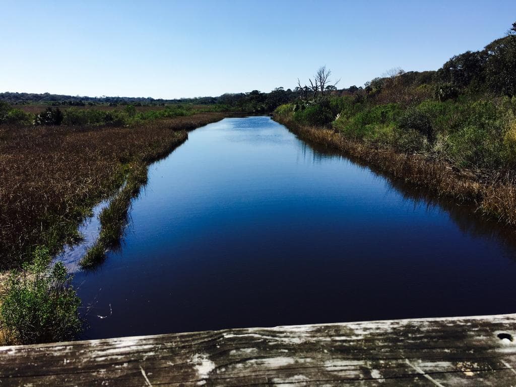 Egans Creek Greenway